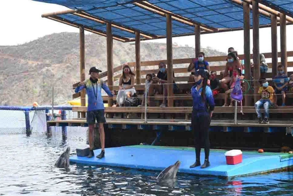Acuario Rodadero