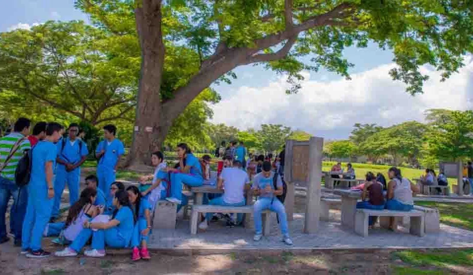 Unimagdalena retorna a clases