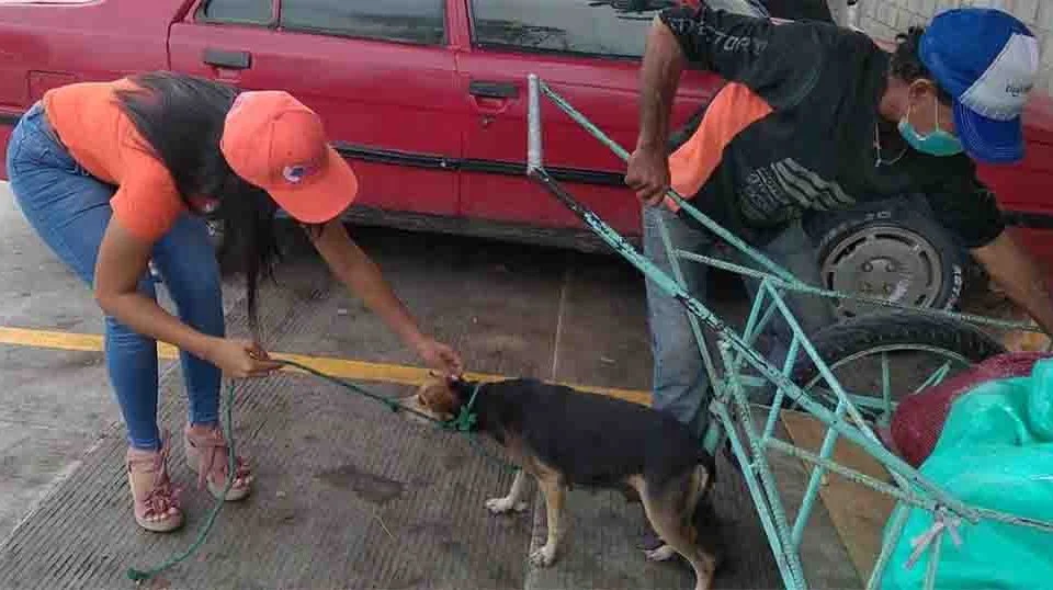 Jornadas de Esterilización