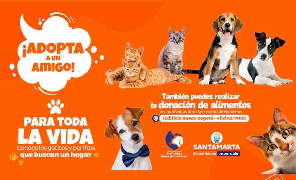 Adopta un canino o un felino