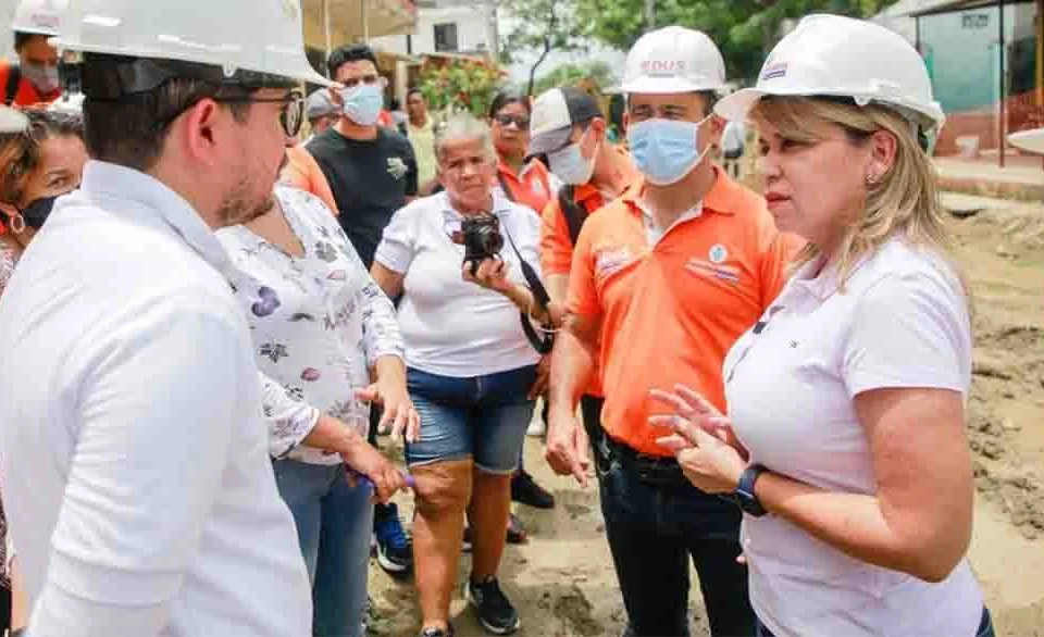 Virna Johnson, obra de la calle 14 de Gaira 