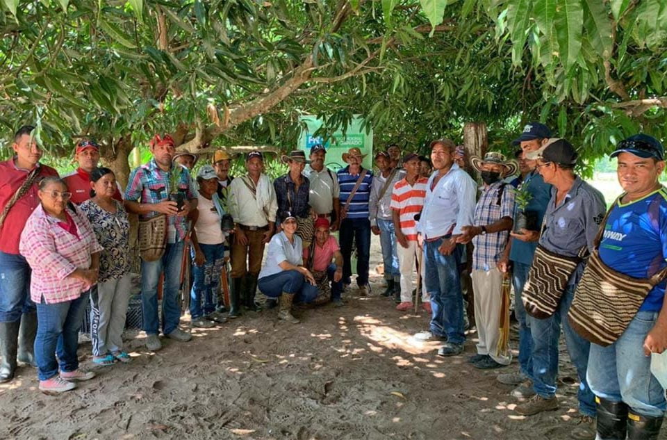 Beneficiarios Restitución de Tierras en Magdalena - proyectos productivos