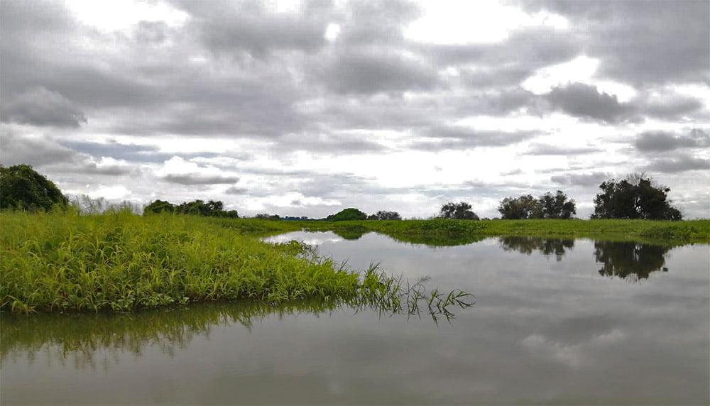 Caño Inasica recupera las condiciones hídricas, Corpamag