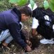 Fedepalma y Cenipalma inician la primera jornada de reforestación