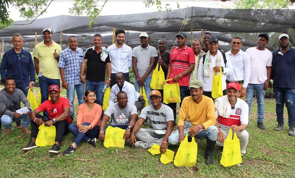 Entregan plántulas a productores de pequeña escala de palma de aceite