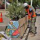 Avanza el mantenimiento a jardineras en Santa Marta