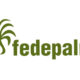 Logo Fedepalma