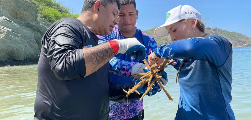 Corpamag conmemora el Día Mundial de los Arrecifes