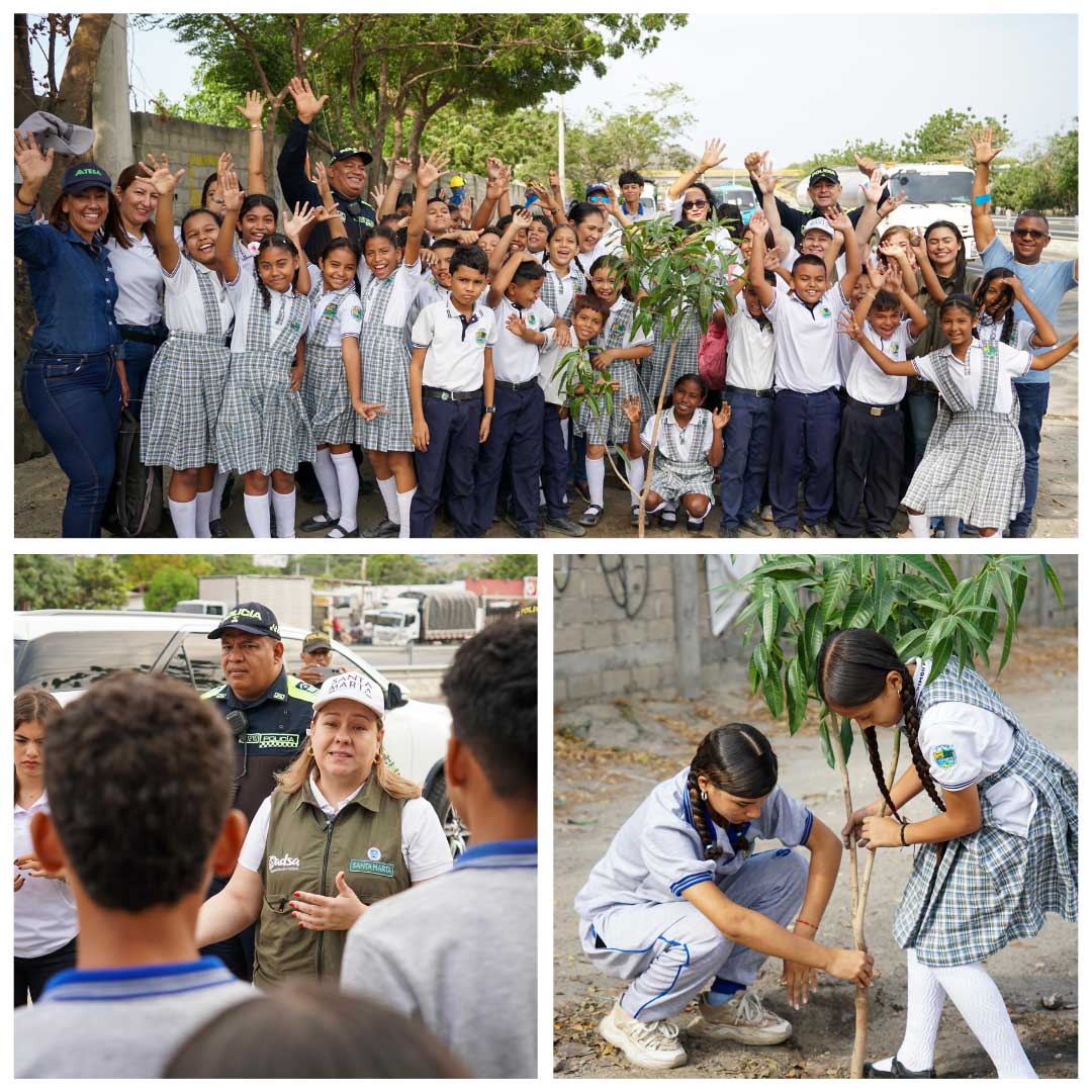Dadsa lidera transformación ambiental en Gaira