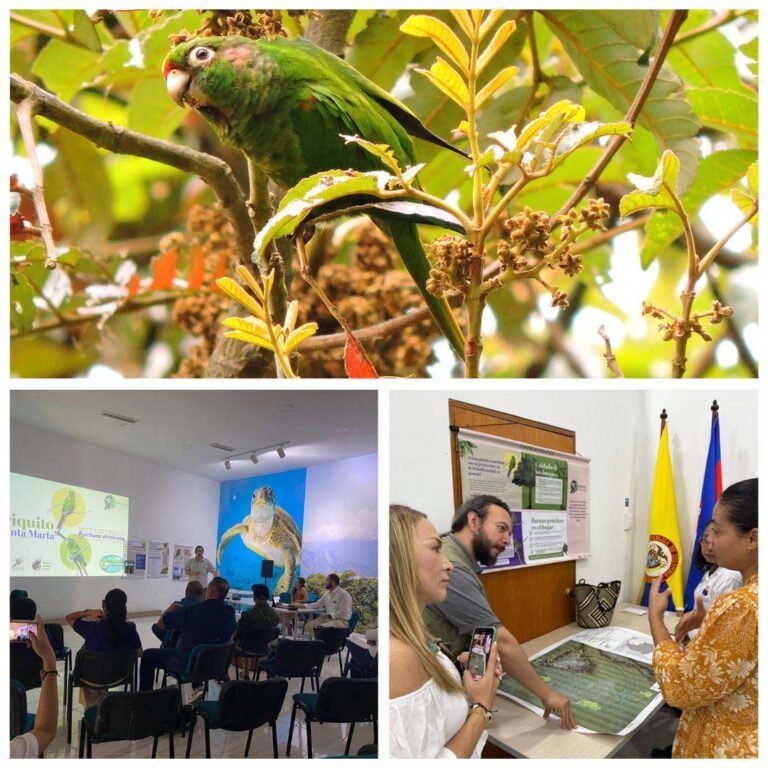 Corpamag y Procat lideran el primer taller para la construcción del plan de manejo y conservación de loros y guacamayas