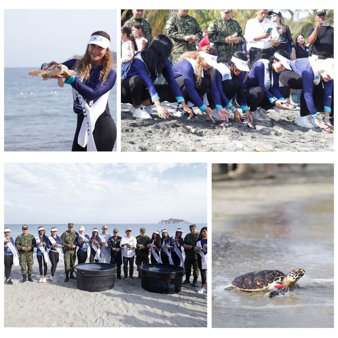 Corpamag y la Fundación Museo del Mar – Mundo Marino introducen 40 tortugas marinas junto a las Candidatas Distritales a Capitana del Mar 2025