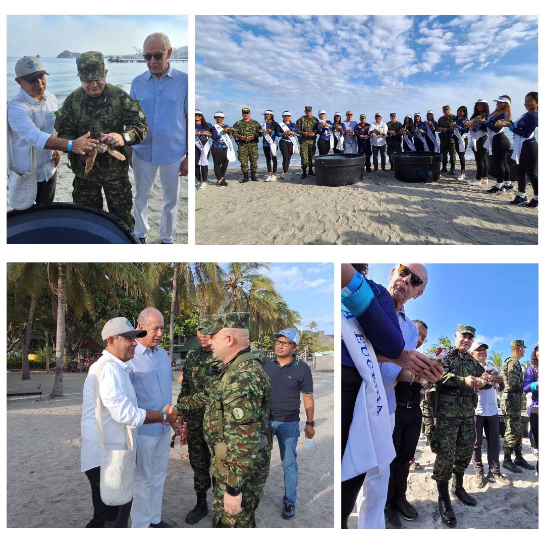 Ejército Nacional y aliados unen fuerzas para proteger a las tortugas marinas en Santa Marta