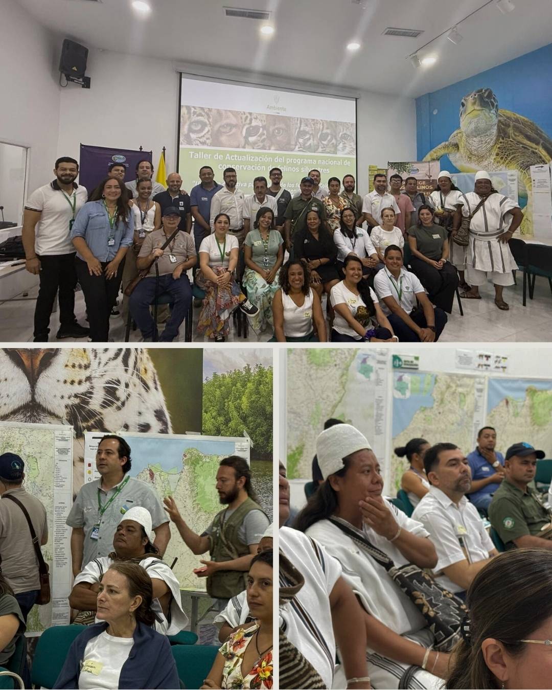 Corpamag fue sede del taller de actualización del programa nacional de conservación de felinos silvestres en Colombia- capítulo caribe
