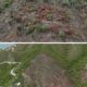 DADSA activa Proceso Sancionatorio por tala ilegal en cerros de Inca Inca