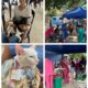 Gobierno de Carlos Pinedo rompe récord en esterilizaciones gratuitas para perros y gatos en Santa Marta