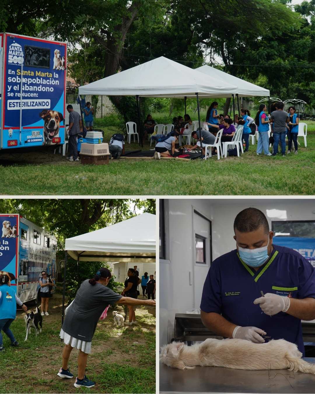 UNIMAGDALENA reafirma su compromiso con el bienestar animal mediante jornada de esterilización