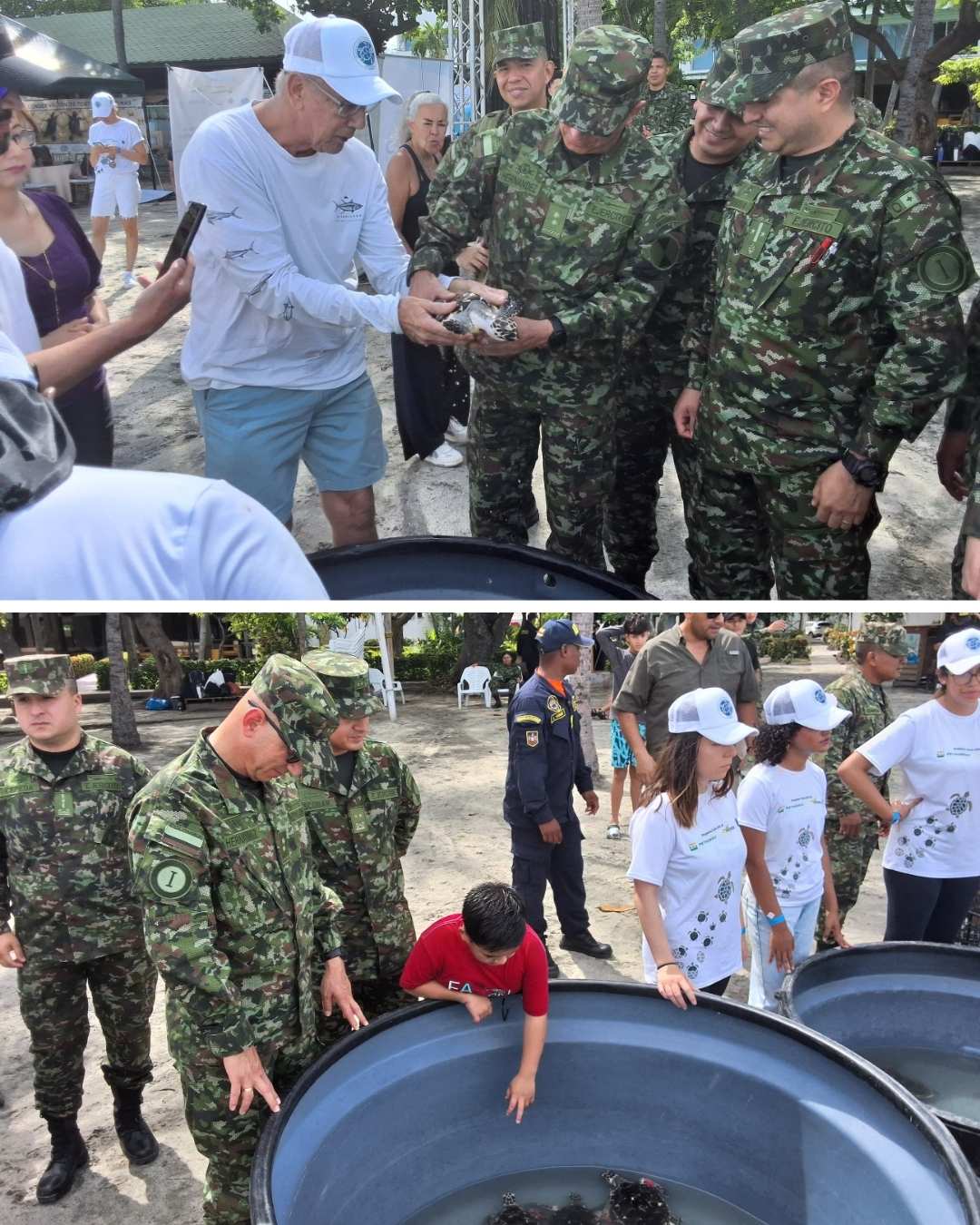 Ejército Nacional se une a esfuerzos interinstitucionales para proteger la tortuga marina Carey en peligro crítico de extinción
