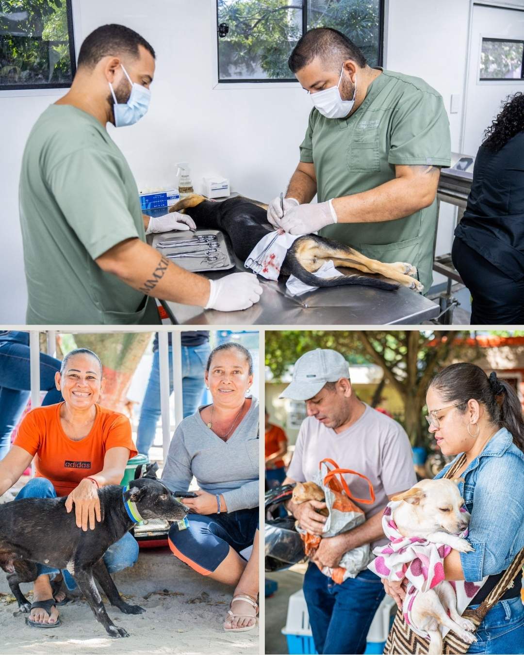Administración de Carlos Pinedo impone récord en bienestar animal y realiza 16.000 esterilizaciones felinas y caninas