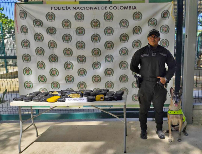 Canino de la Policía detecta 13 kilos de marihuana en empresa de encomiendas en Santa Marta