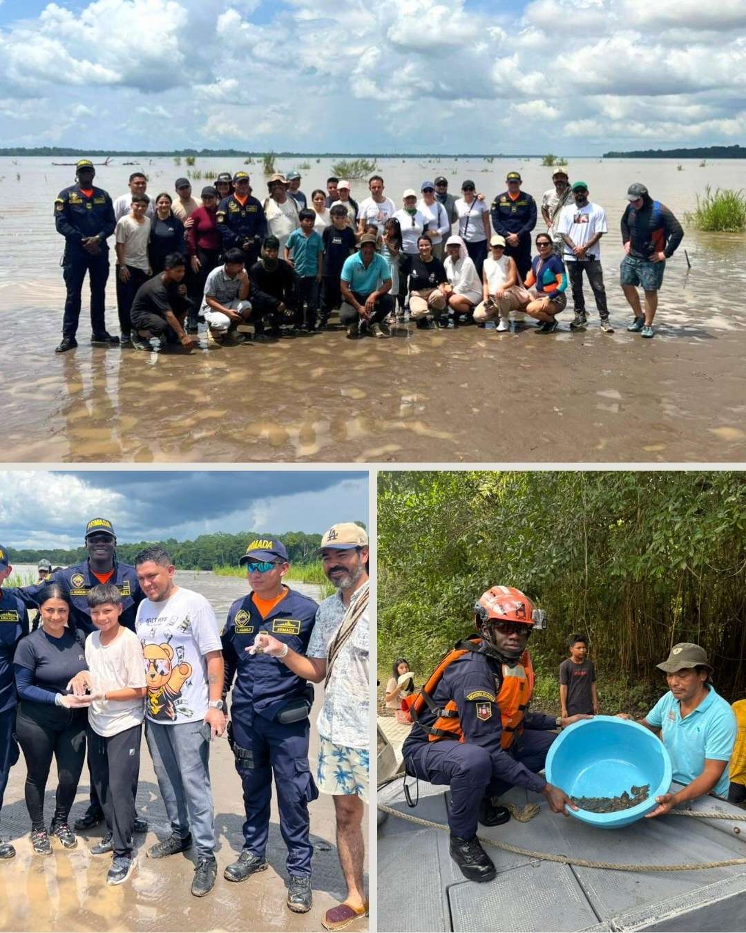 Armada de Colombia contribuye a la conservación de la biodiversidad con la liberación de 150 tortugas