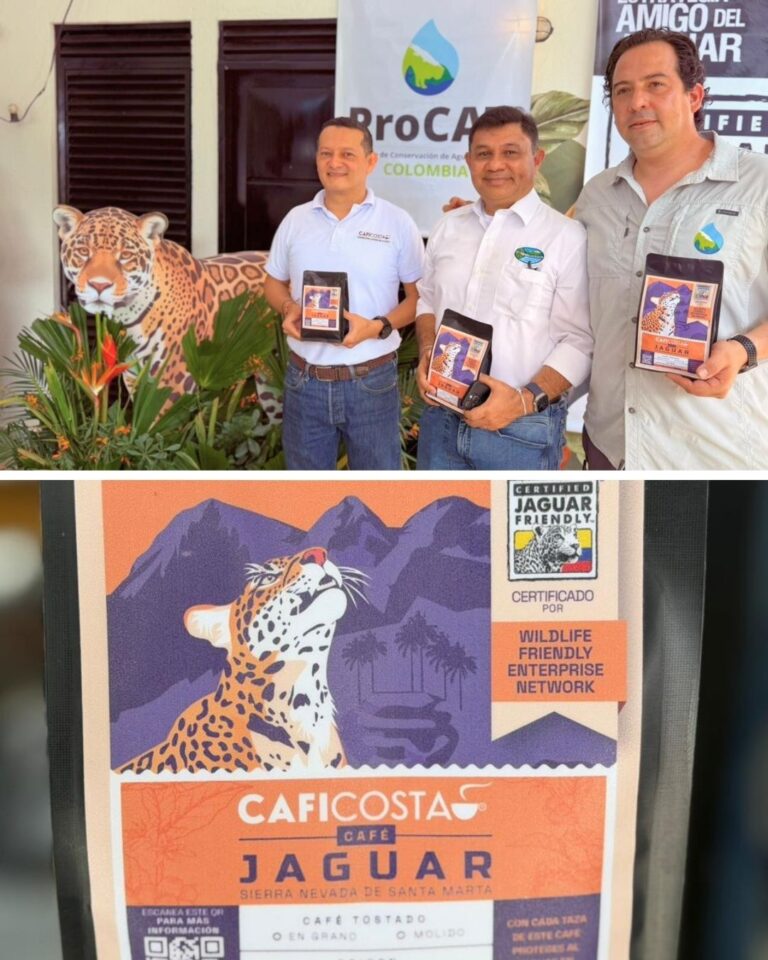 Corpamag, Procat y Caficosta presentan el sello Café Jaguar Sierra Nevada