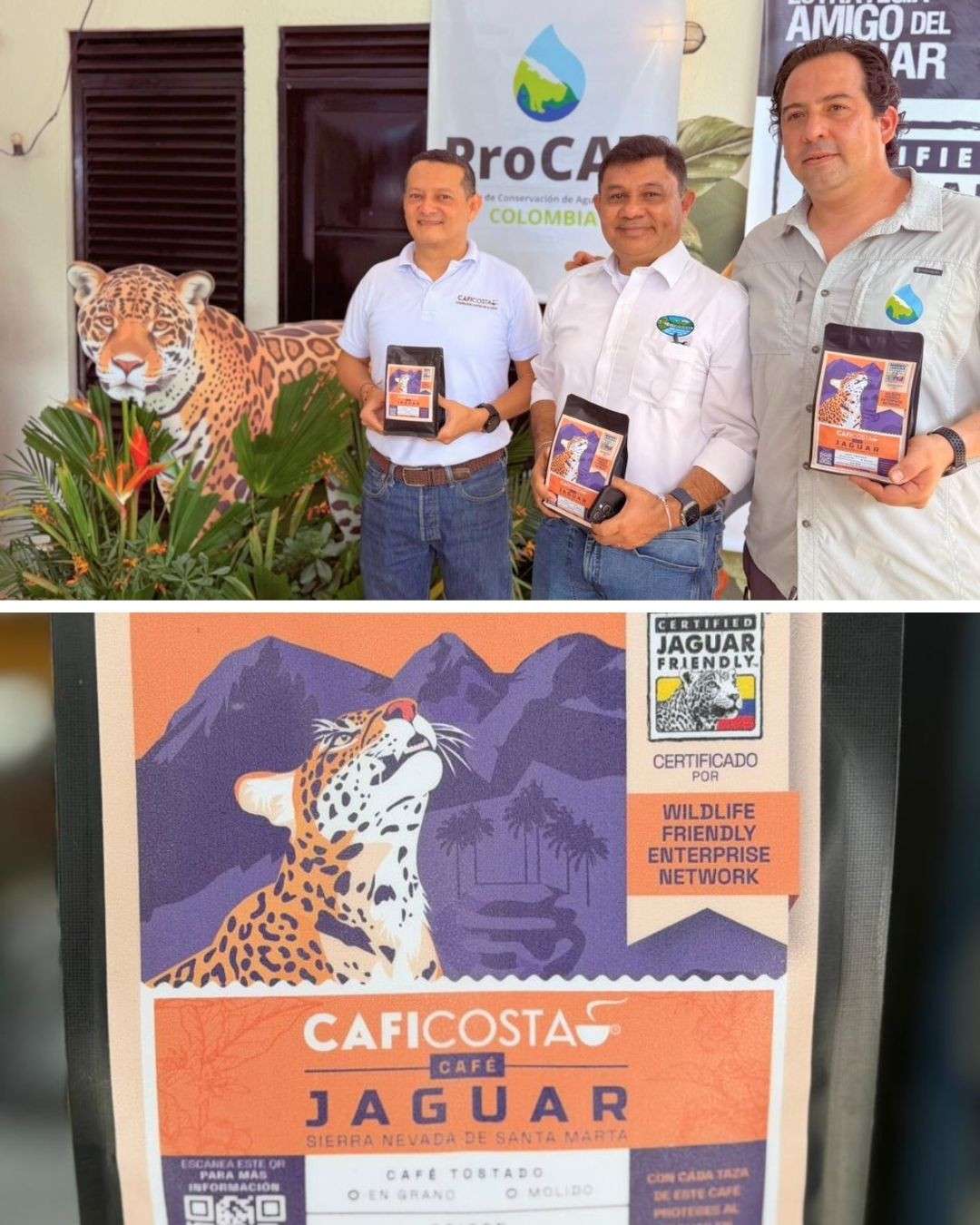 Corpamag, Procat y Caficosta presentan el sello Café Jaguar Sierra Nevada