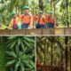 Grupo Daabon celebra 15 años de la certificación RSPO reafirmando su liderazgo en aceite de palma sostenible