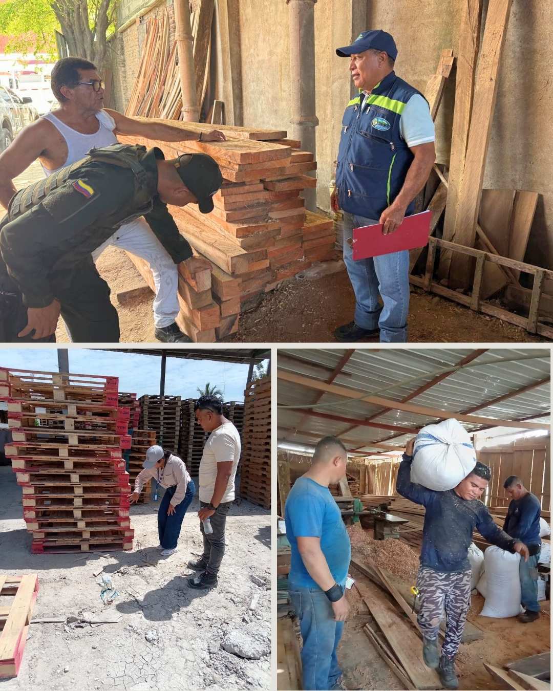 Corpamag participa en el primer operativo nacional del año contra el tráfico ilegal de madera