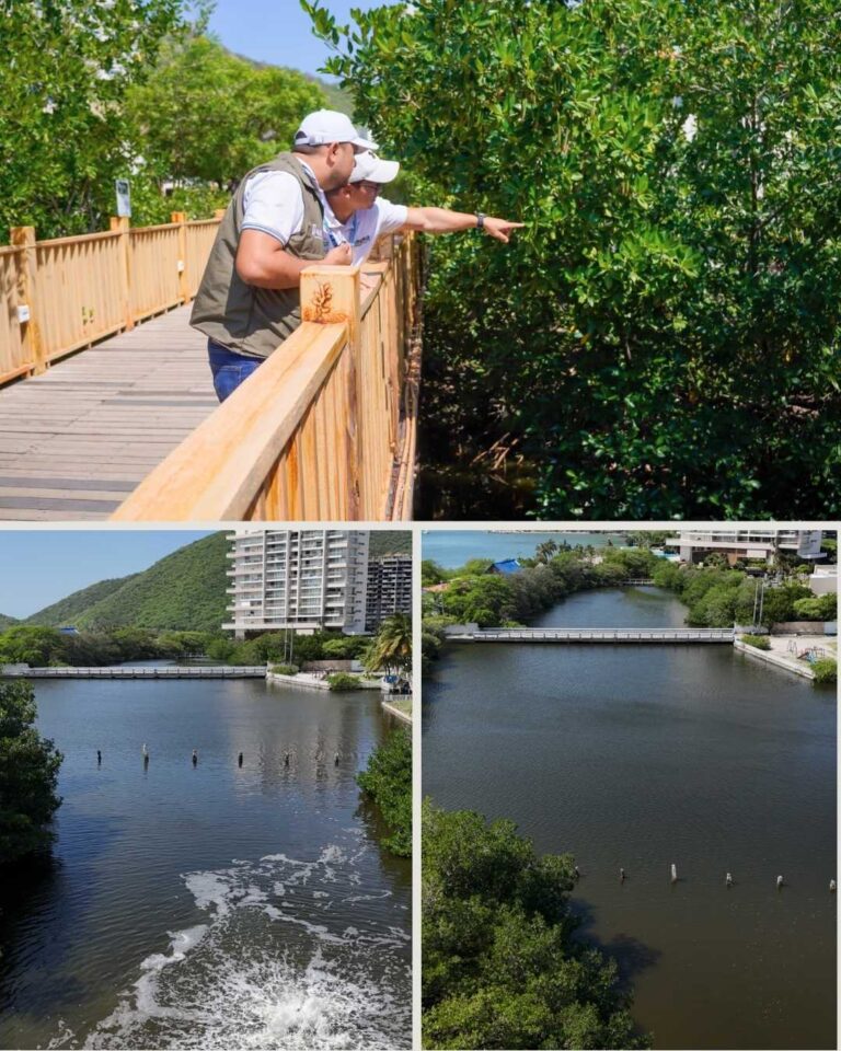 Dadsa realiza inspección técnica en humedal Lagos del Dulcino por mortandad de peces