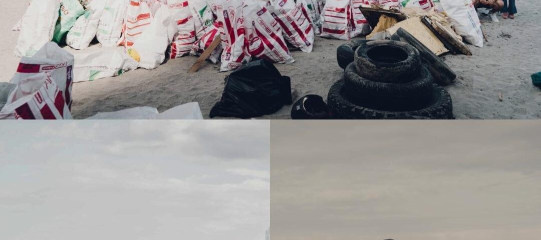 La Playa Los Cocos recibió una jornada de limpieza ambiental liderada por UNIMAGDALENA