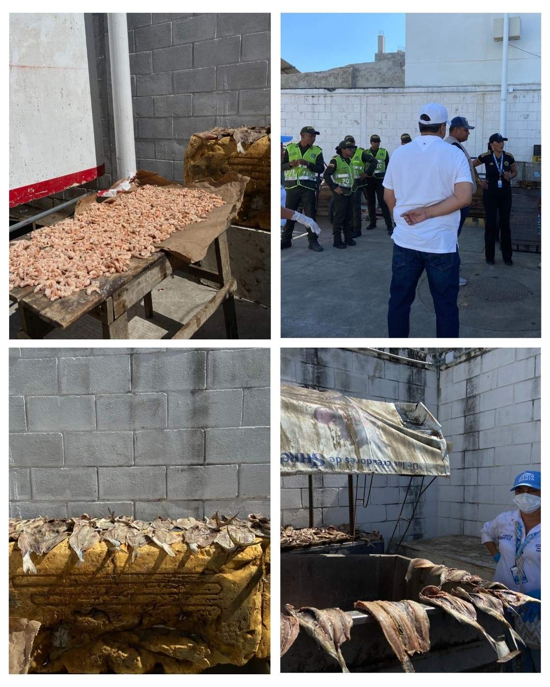 Alcaldía frena la venta de productos pesqueros en mal estado y entrega algunas recomendaciones