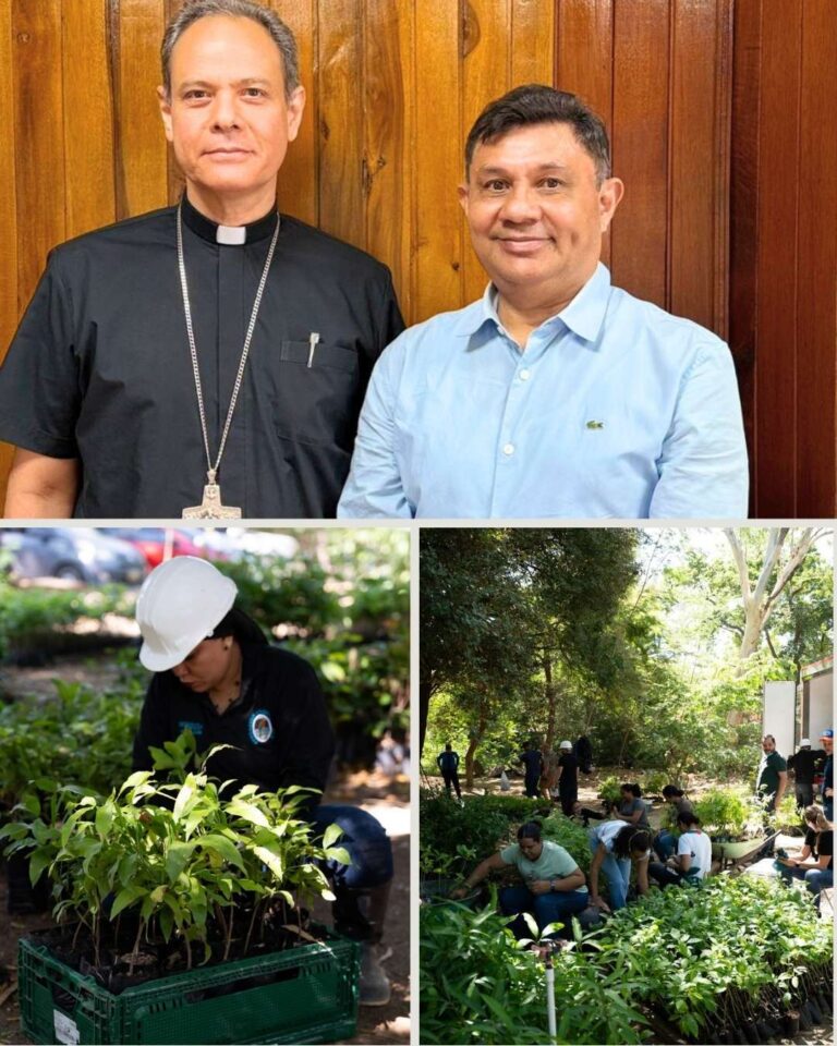 El domingo de ramos, Corpamag y la Diócesis de Santa Marta se unen para la protección de la Palma de Cera