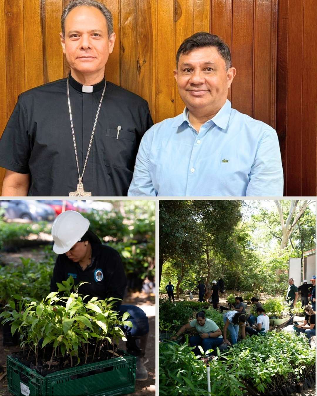 El domingo de ramos, Corpamag y la Diócesis de Santa Marta se unen para la protección de la Palma de Cera