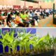ASBAMA presenta la agenda estratégica del Congreso Bananero 2026 con expertos de talla internaciona