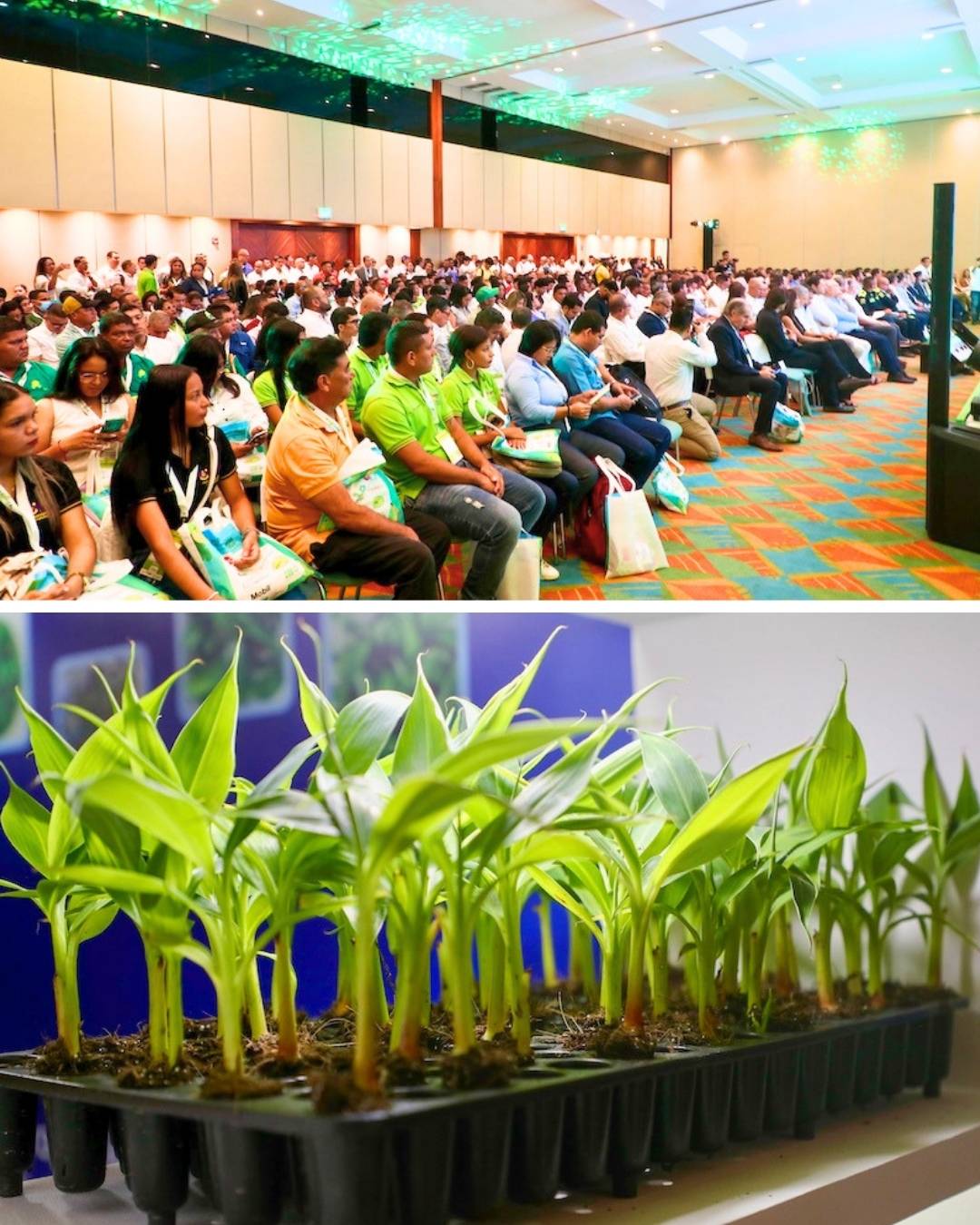 ASBAMA presenta la agenda estratégica del Congreso Bananero 2026 con expertos de talla internaciona