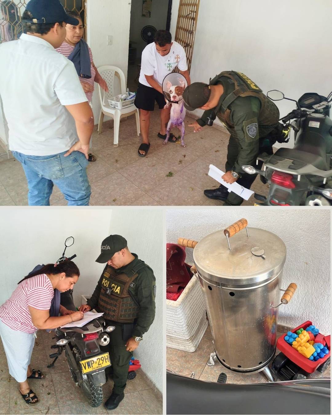 Alcaldía de Santa Marta investiga el hecho en el que resultaron afectados 2 perros