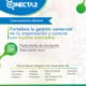 Cámara de Comercio abre convocatoria de Conecta2 para fortalecer asociaciones productivas del Magdalena
