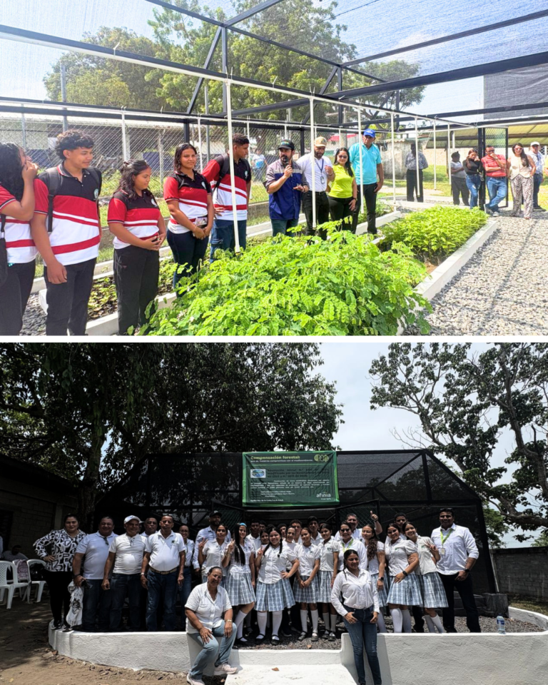 Corpamag entrega 3 viveros bioclimáticos a instituciones educativas para reforestar el departamento del Magdalena