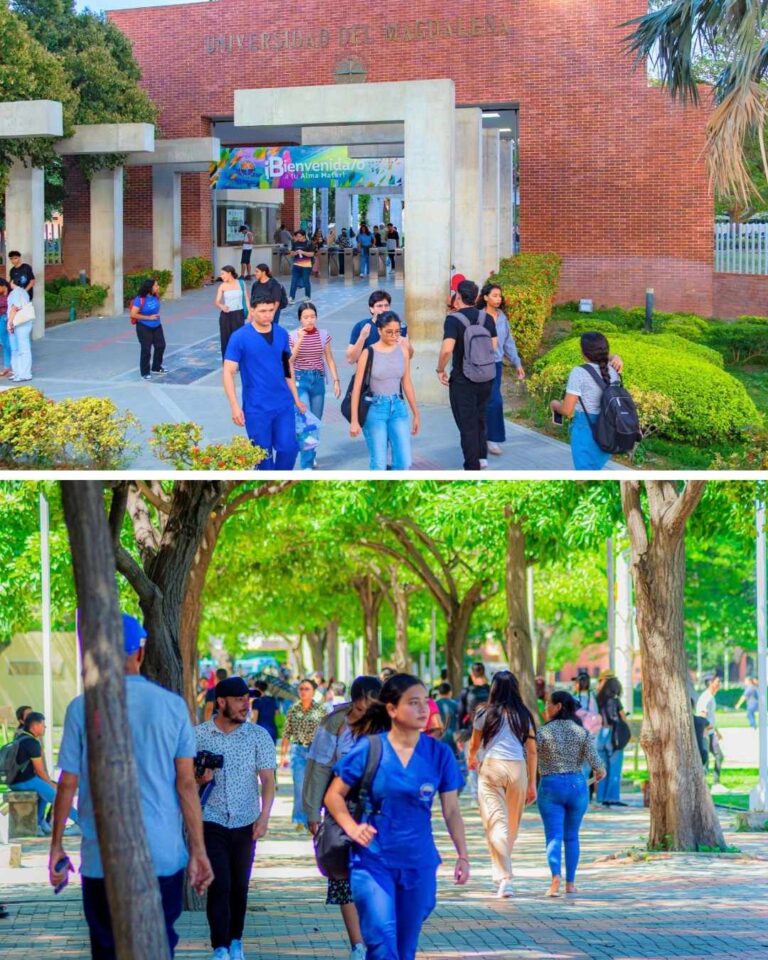 UNIMAGDALENA amplía su oferta académica para el segundo semestre de 2026
