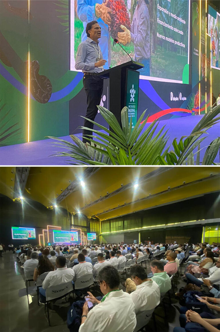 agroindustria palmera colombiana