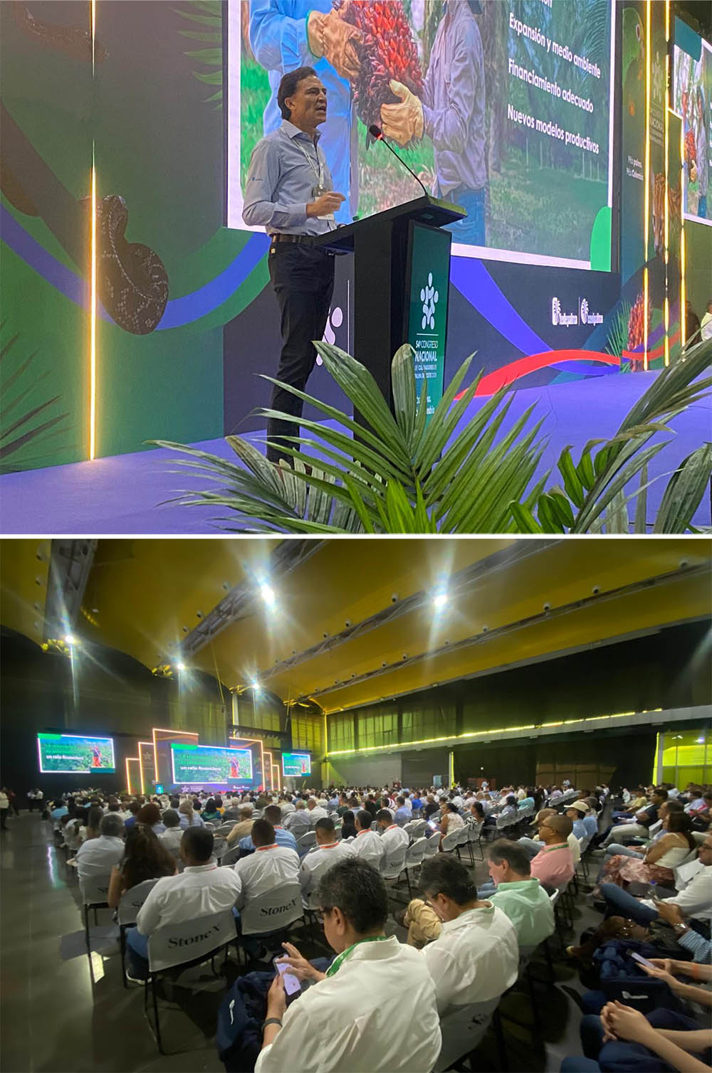 agroindustria palmera colombiana