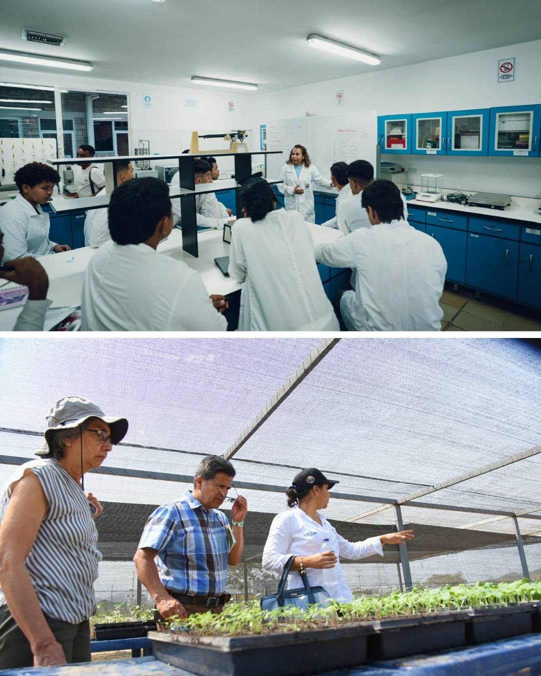 Programa de Ingeniería Agronómica renueva su Acreditación en Alta Calidad