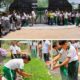 Corpamag entrega Vivero Bioclimático a Institución Educativa de Nueva Granada