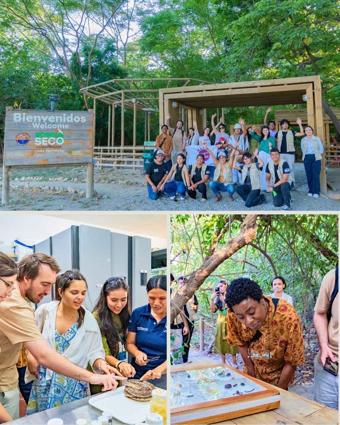Escuela de verano “Colombia Sostenible” llegó a UNIMAGDALENA