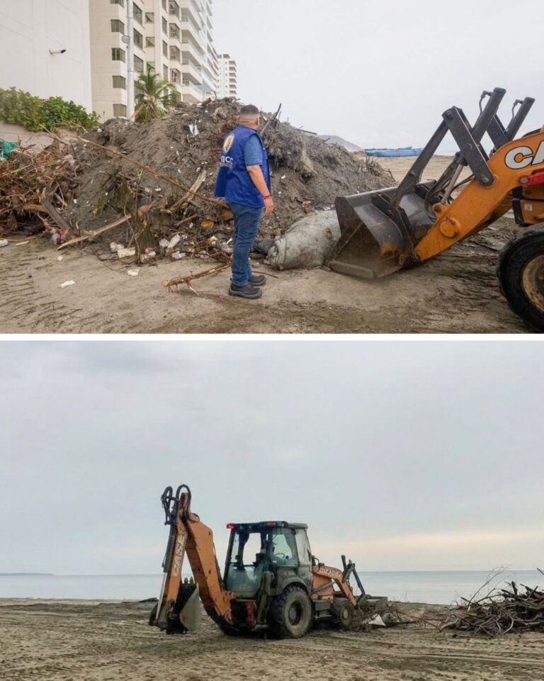 Alcaldía interviene 700 metros lineales de playa en Los Cocos