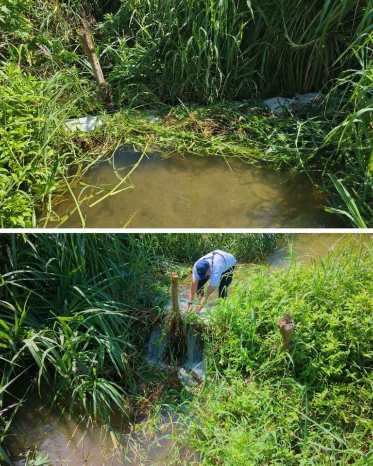 Corpamag retira trincho que obstruía flujo de agua en la Quebrada La Aguja, municipio de Ciénaga