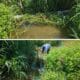 Corpamag retira trincho que obstruía flujo de agua en la Quebrada La Aguja, municipio de Ciénaga