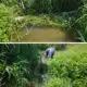 Corpamag retira trincho que obstruía flujo de agua en la Quebrada La Aguja, municipio de Ciénaga