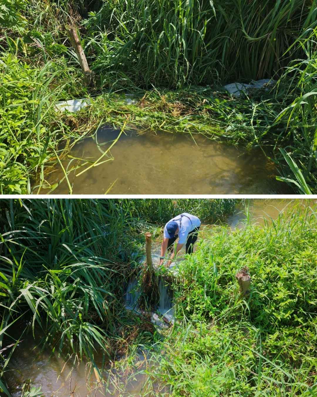Corpamag retira trincho que obstruía flujo de agua en la Quebrada La Aguja, municipio de Ciénaga
