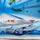 Open Internacional de Freediving que reúne atletas de diez países llega a Santa Marta